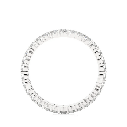 Timeless Harmony Eternity Band