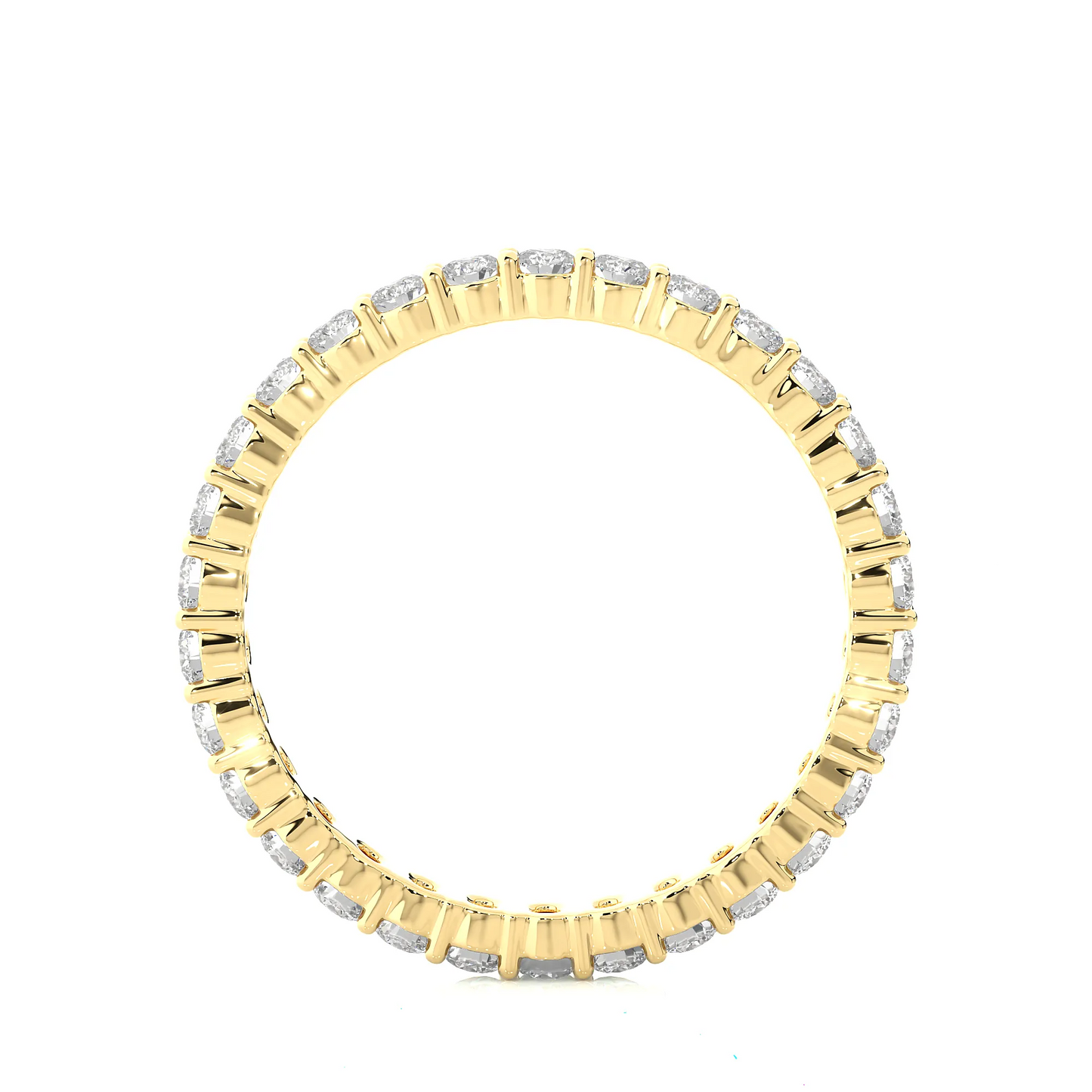 Timeless Harmony Eternity Band