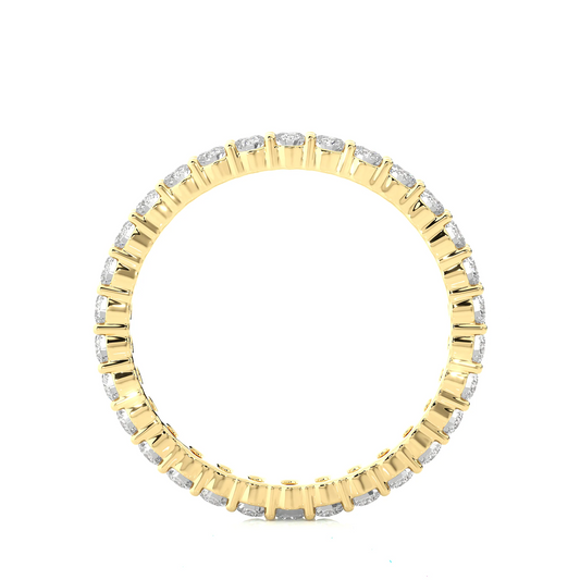 Timeless Harmony Eternity Band