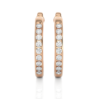 Radiant Elegance Earrings